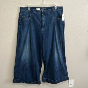 Anthropologie Pilcro High Rise Wide Leg Plus Size Pleated Jeans